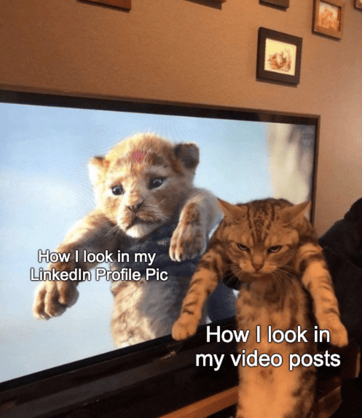 Video Post Cat Meme